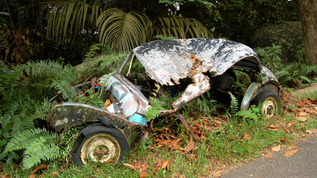 Voiture ancienne rouillée envahie par la végétation