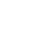 logo CTG blanc .png